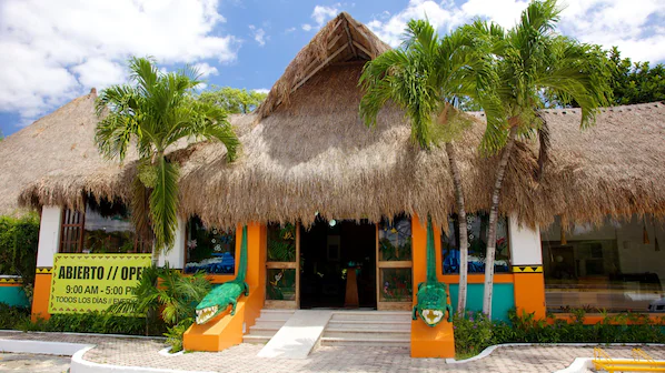 Crococun Zoo near Dreams Puerto Morelos Resort & Spa with interactive wildlife exhibits and tropical setting